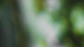 Dieta basada en plantas, Estar Mejor