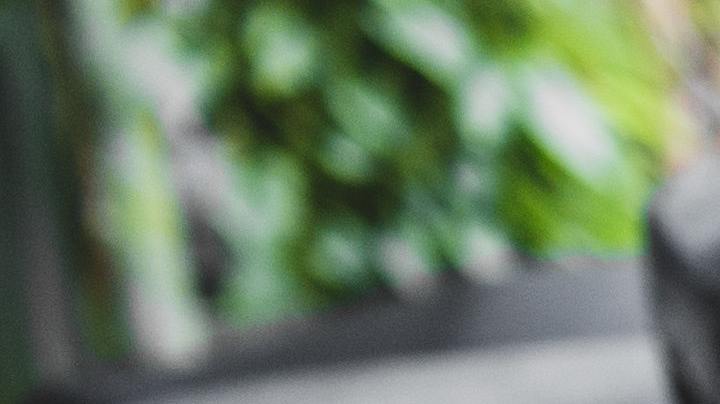 Dieta basada en plantas, Estar Mejor