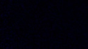Eclipse lunar de noviembre