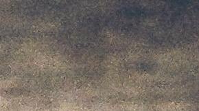 hierbas, condimentos, presión arteríal, Estar Mejor