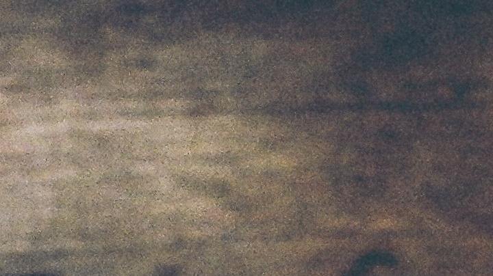 hierbas, condimentos, presión arteríal, Estar Mejor