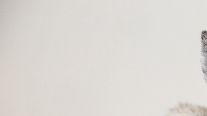 Hombres más infieles