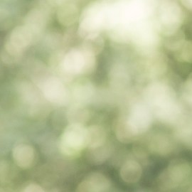 cosas que hace un hombre enamorado