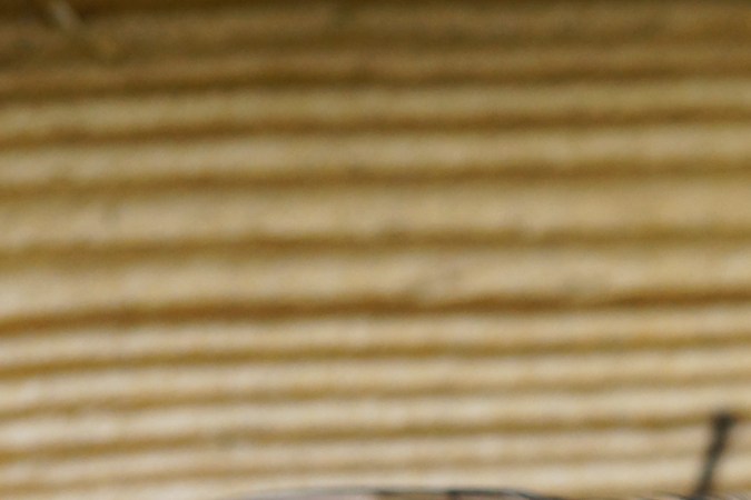 Cómo eliminar las moscas de la casa