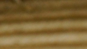 Cómo eliminar las moscas de la casa