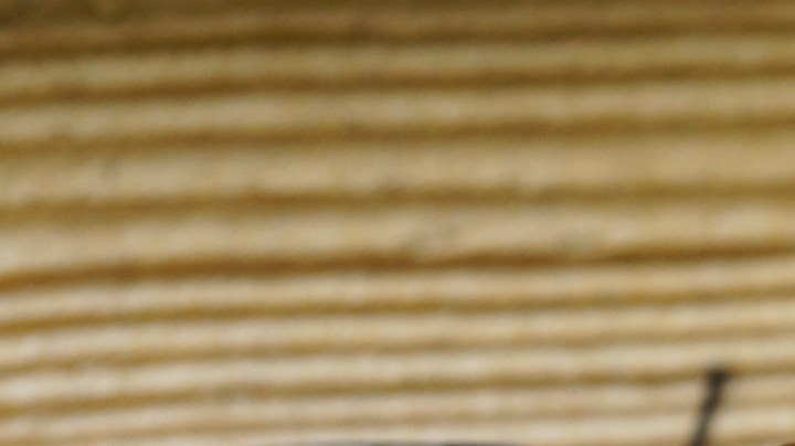 Cómo eliminar las moscas de la casa