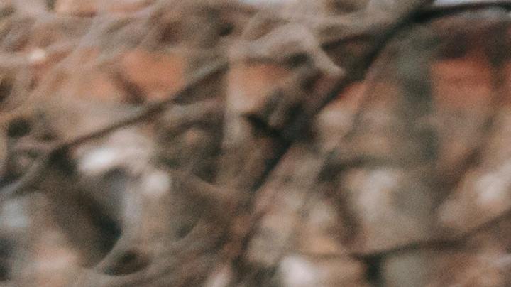 Caminatas intervalos, Estar Mejor