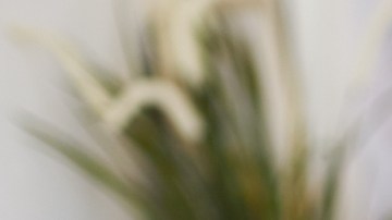 Tener relaciones sexuales por primera vez