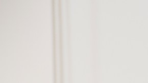 Cocinar en el microondas