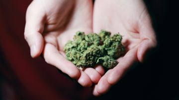 Cannabis medicinal, Estar Mejor