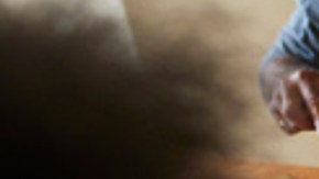 alimentación basada en plantas, Estar Mejor