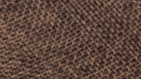 Salud de la próstata