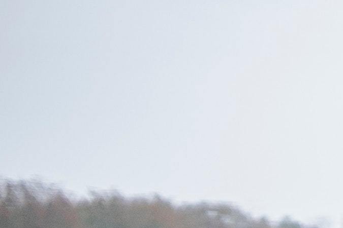 ¿Es mejor un árbol de navidad natural o uno artificial?