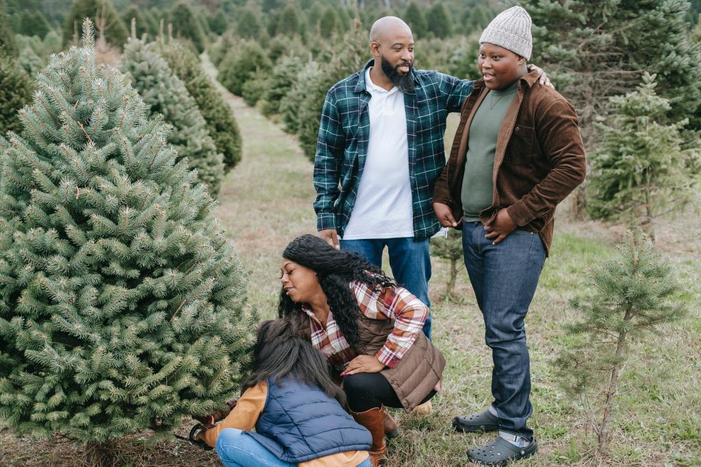 Tradición de ir con tus seres queridos, amigos o roomies a seleccionar un árbol para Navidad que les guste los beneficios para la salud mental son aún mayores