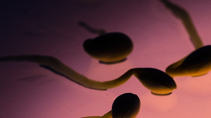 infección por COVID-19