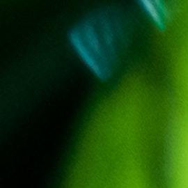 diabetes, azúcar en sangre, repollitos de bruselas, Estar Mejor