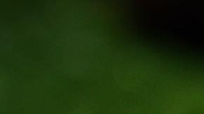 Té de hierbabuena, síndrome de ovario poliquístico, Estar Mejor