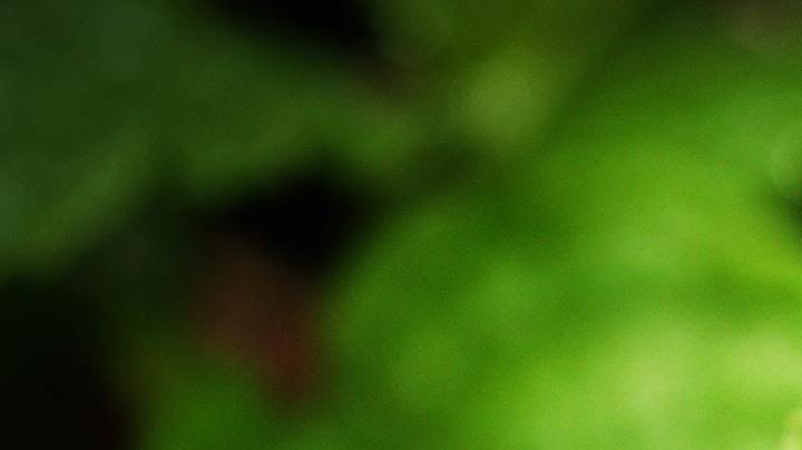 Té de hierbabuena, síndrome de ovario poliquístico, Estar Mejor