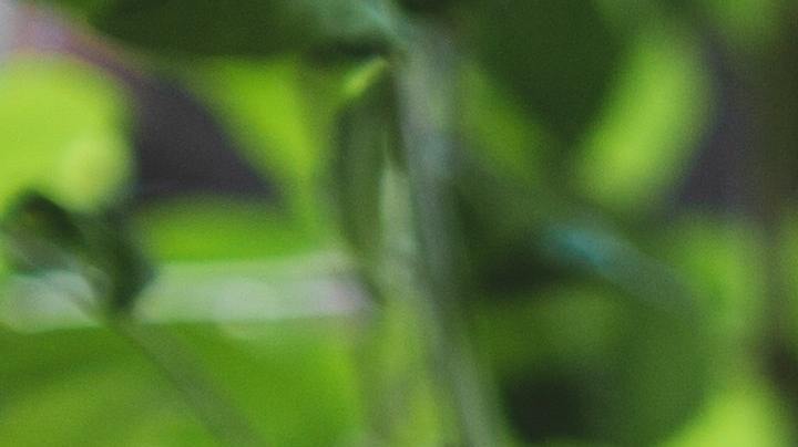 jugo de remolacha, hipertensión, Estar Mejor