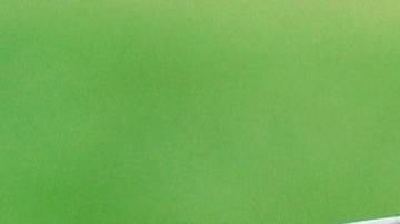 leche de vaca, bajar de peso, estar mejor