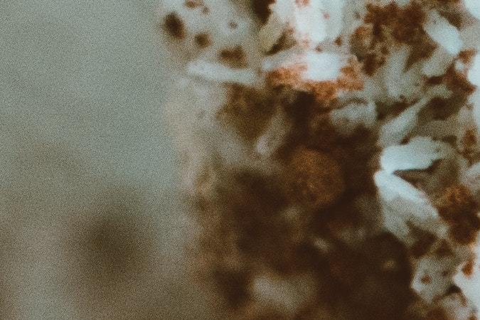 Diabetes: Los 3 dulces que puedes preparar y disfrutar durante las fiestas