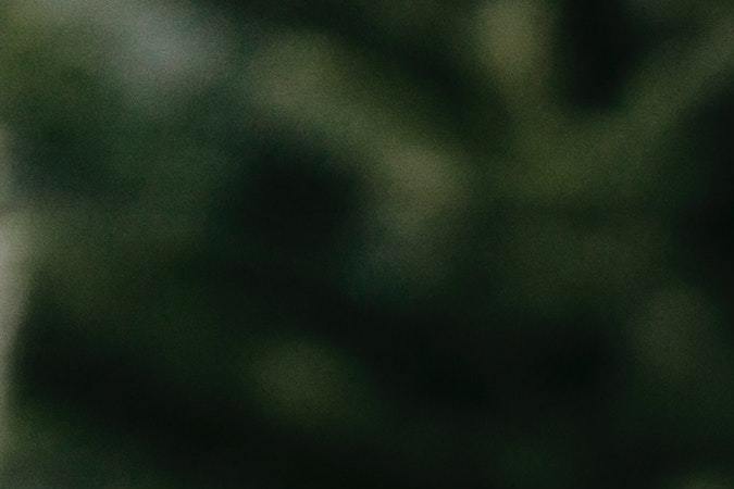 Baños de bosque, menos estrés