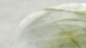 Cabe destacar que tanto la dieta basada en plantas como la de ecomendaciones dietéticas para los diabéticos se asociaron con reducciones sostenidas en el peso y las concentraciones plasmáticas de lípidos, indicaron los investigadores.