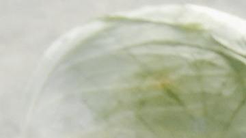 Cabe destacar que tanto la dieta basada en plantas como la de ecomendaciones dietéticas para los diabéticos se asociaron con reducciones sostenidas en el peso y las concentraciones plasmáticas de lípidos, indicaron los investigadores.