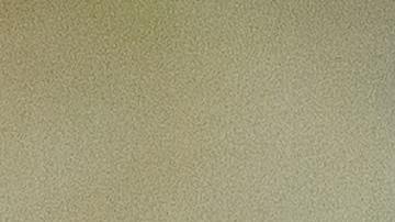 qué atrae las ratas