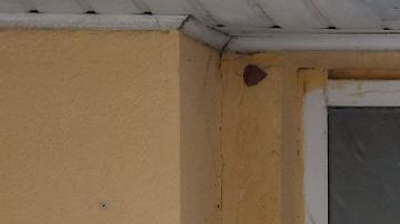 Violencia armada en escuelas en EE.UU.