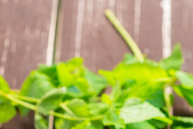 dieta de sopas y batidos
