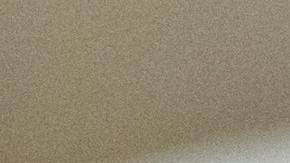 perros, idiomas, entendimiento, Estar Mejor