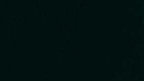 uvas microbiota intestinal, Estar Mejor