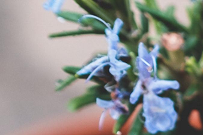 Romero COVID, Estar Mejor