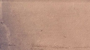 En el estudio participaron 46 voluntarios con diabetes tipo 2, a quienes dividieron aleatoriamente en dos grupos iguales. Los resultados se notaron a mediano plazo.