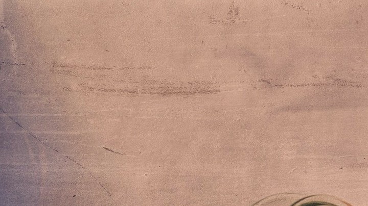 En el estudio participaron 46 voluntarios con diabetes tipo 2, a quienes dividieron aleatoriamente en dos grupos iguales. Los resultados se notaron a mediano plazo.