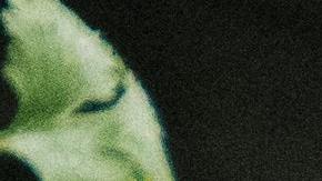 apio diabetes azúcar en sagre, Estar Mejor