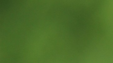 melón amargo diabetes, estar Mejor