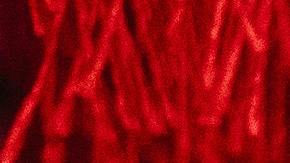 horóscopo chino , año nuevo chino, Estar Mejor