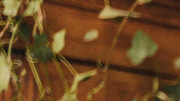 mascaras en las escuelas niños , Estar Mejor