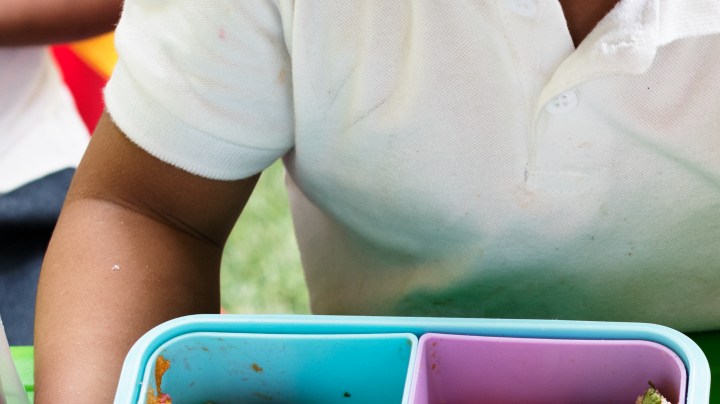 estándares de nutrición escolar