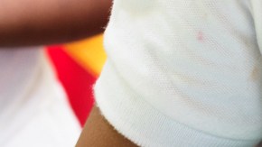 estándares de nutrición escolar
