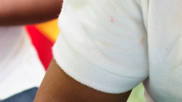 estándares de nutrición escolar