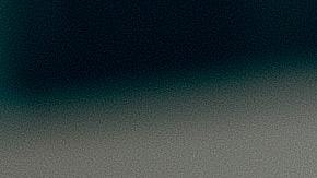 perros voz del dueño