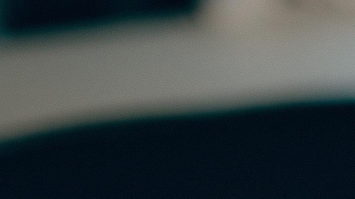 perros voz del dueño