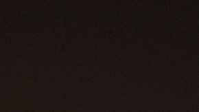 picadura de mosquitos