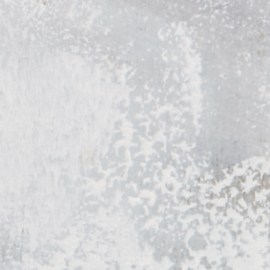 Superalimentos de 2022