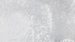 Superalimentos de 2022