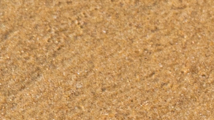 Los científicos dijeron que el historial de deficiencia de vitamina D de un paciente es un factor de riesgo predictivo asociado con un peor curso clínico y mortalidad de la enfermedad por COVID-19.