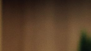 Estos programas de dietas hacen un seguimiento de su ingesta diaria de calorías y del peso para medir el progreso.